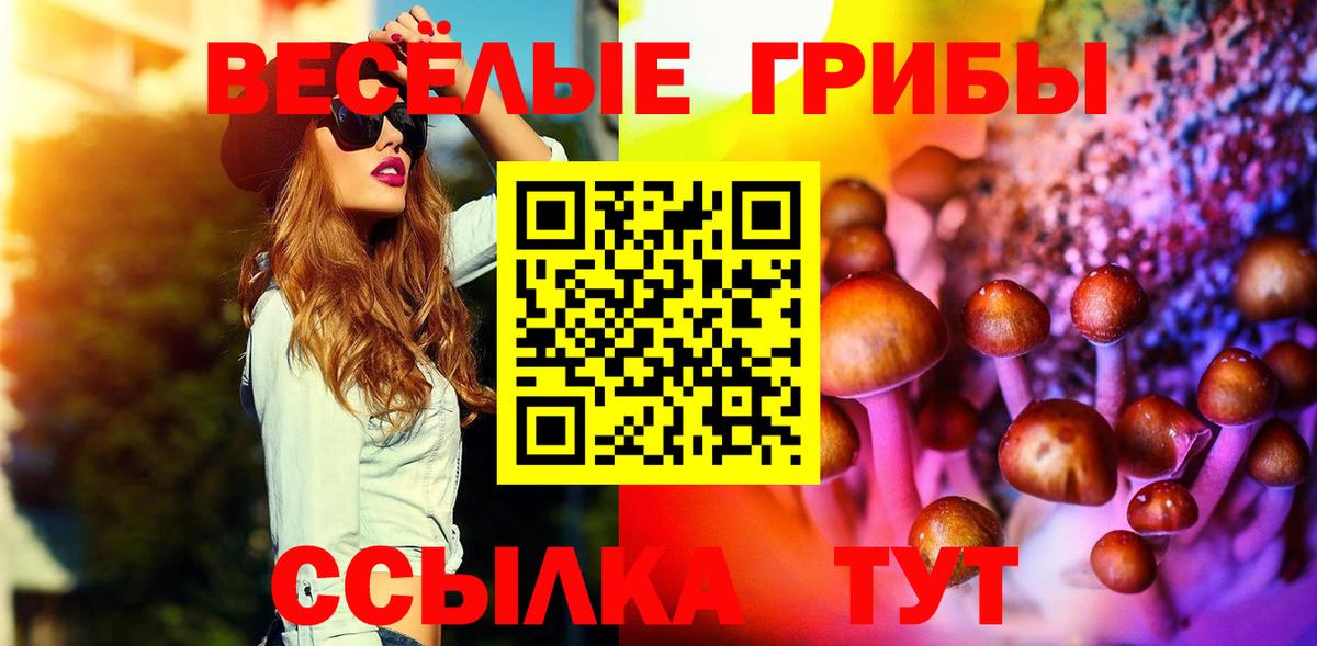 Псилоцибиновые грибы Psilocybine cubensis Кувандык