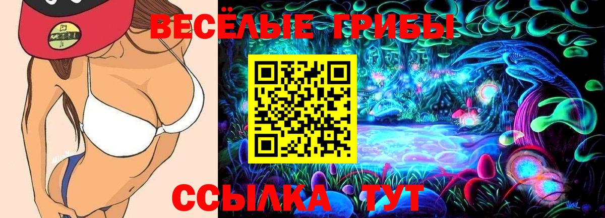 Галлюциногенные грибы Psilocybe  Вход с VPN  Кувандык 